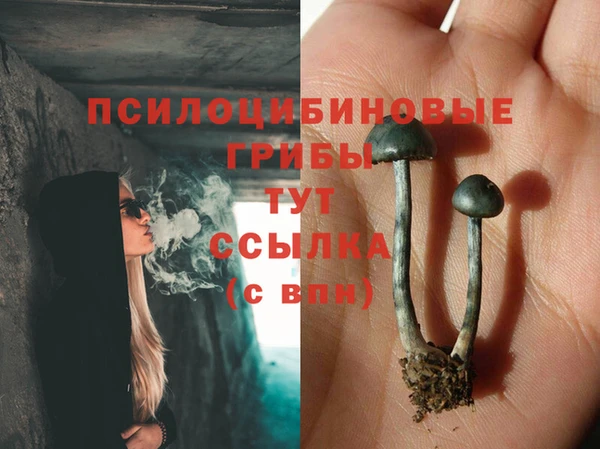 круглые Вязьма