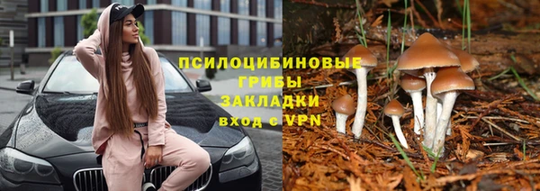 мдпв Волоколамск