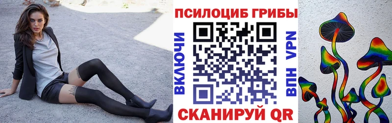 OMG вход  Евпатория  Псилоцибиновые грибы MAGIC MUSHROOMS 